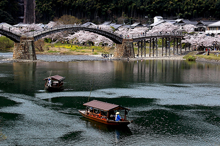 【テーマ】桜舟 撮影者:渡辺 晴芳 様 夢街道ルネサンス認定地区名:岩国往来(山口県岩国市)